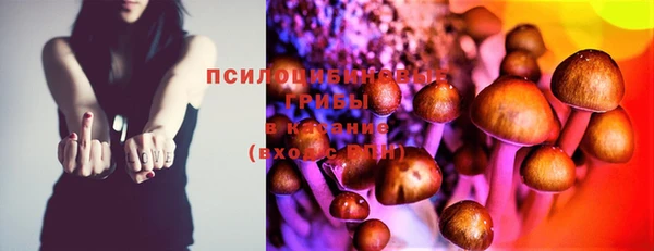 соль курить ск Бородино