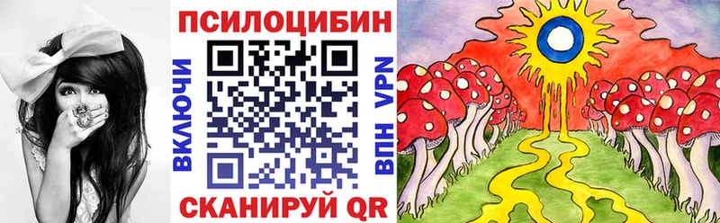 Купить закладки  Переславль-Залесский  Галлюциногенные грибы Magic Shrooms 